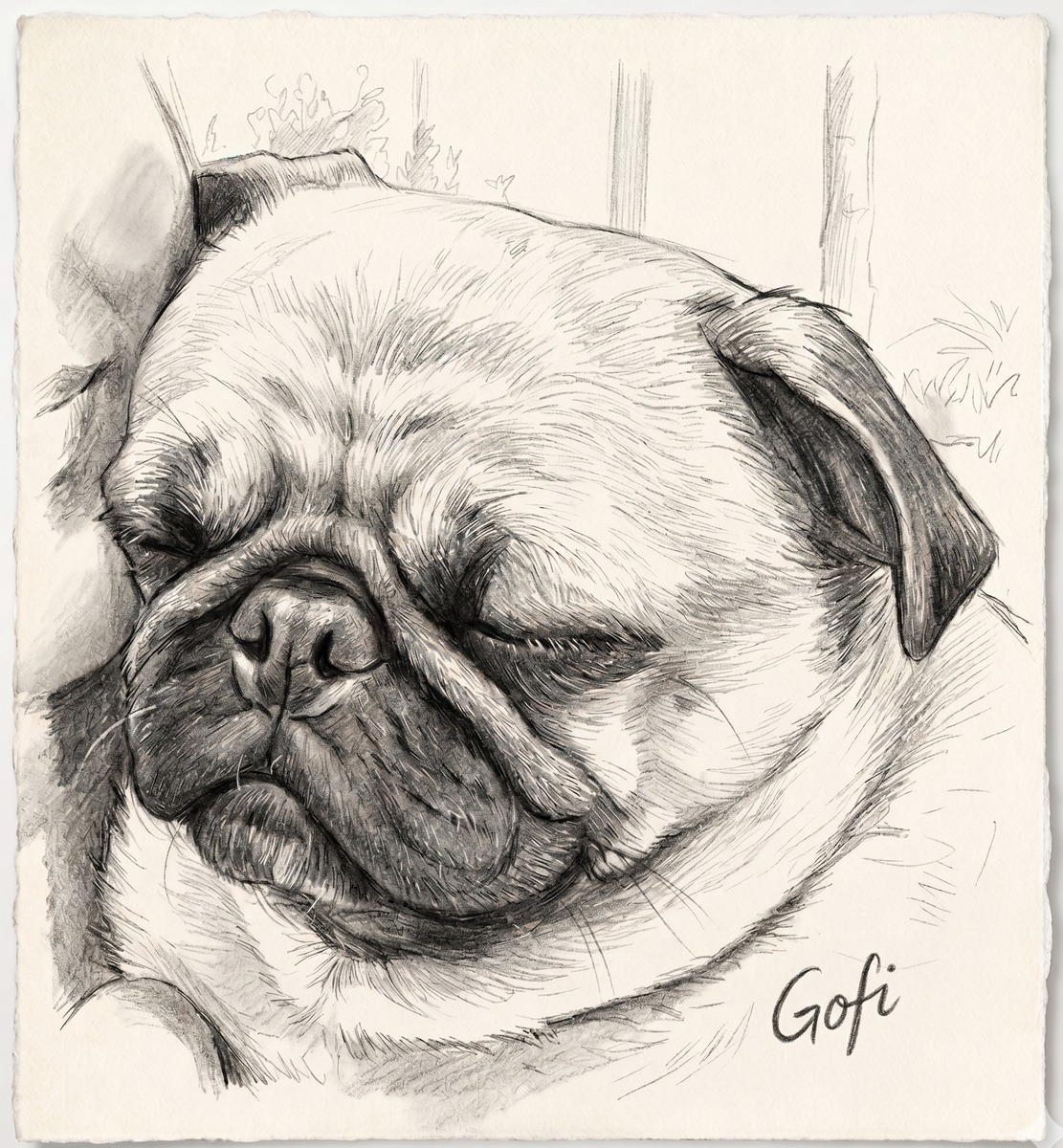 Gofi